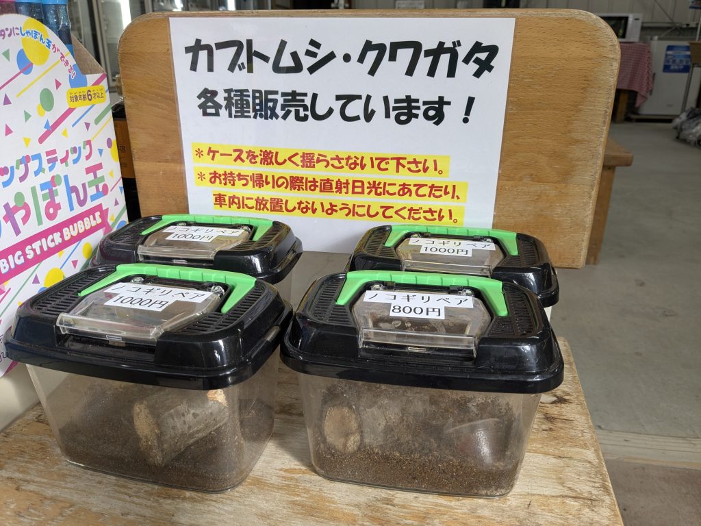 現在の画像に代替テキストがありません。ファイル名: ff34074f43d887d5c302db23fe6a2308-scaled.jpg